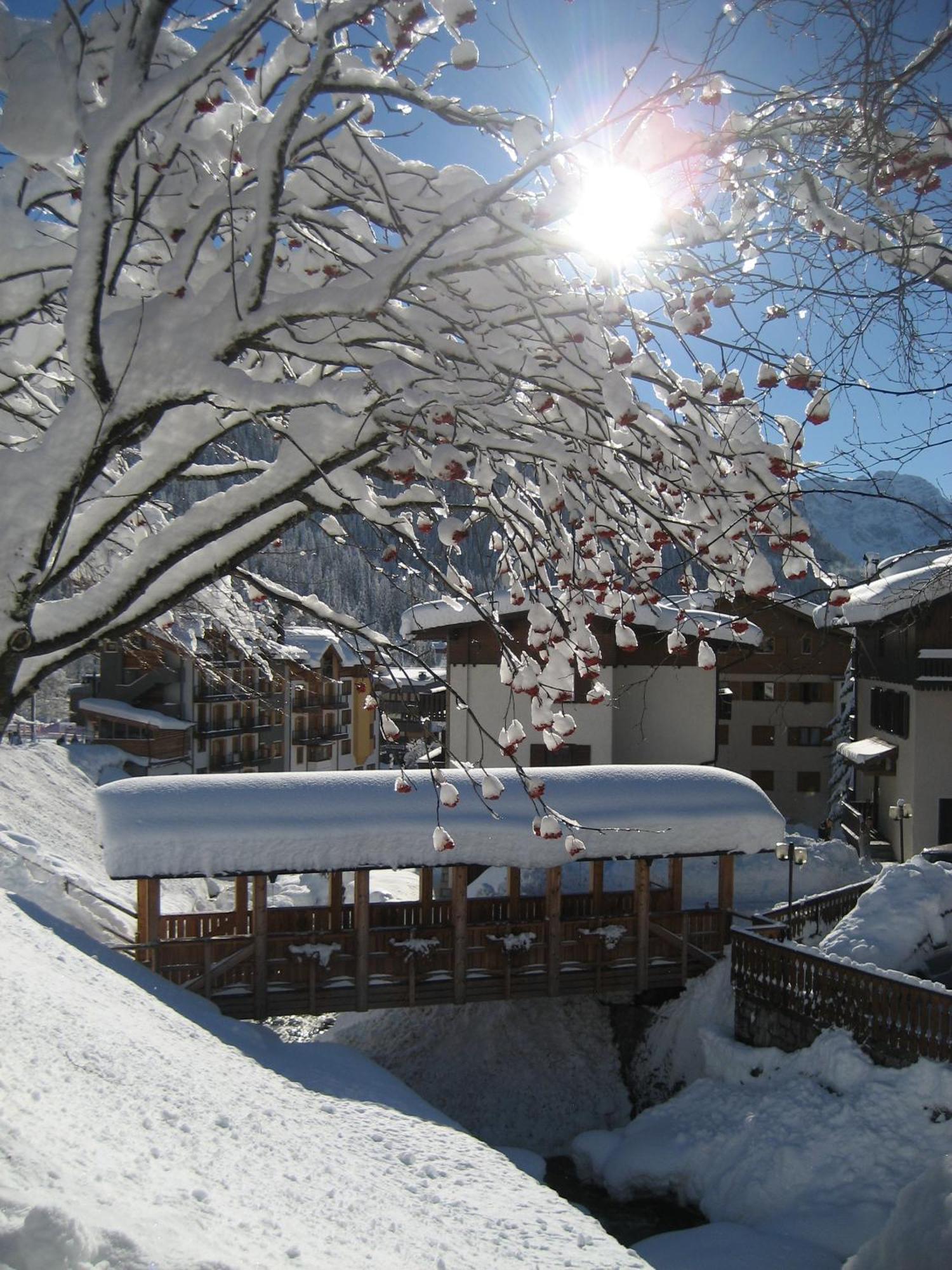 Hotel Garni Dello Sportivo Madonna di Campiglio Exterior photo