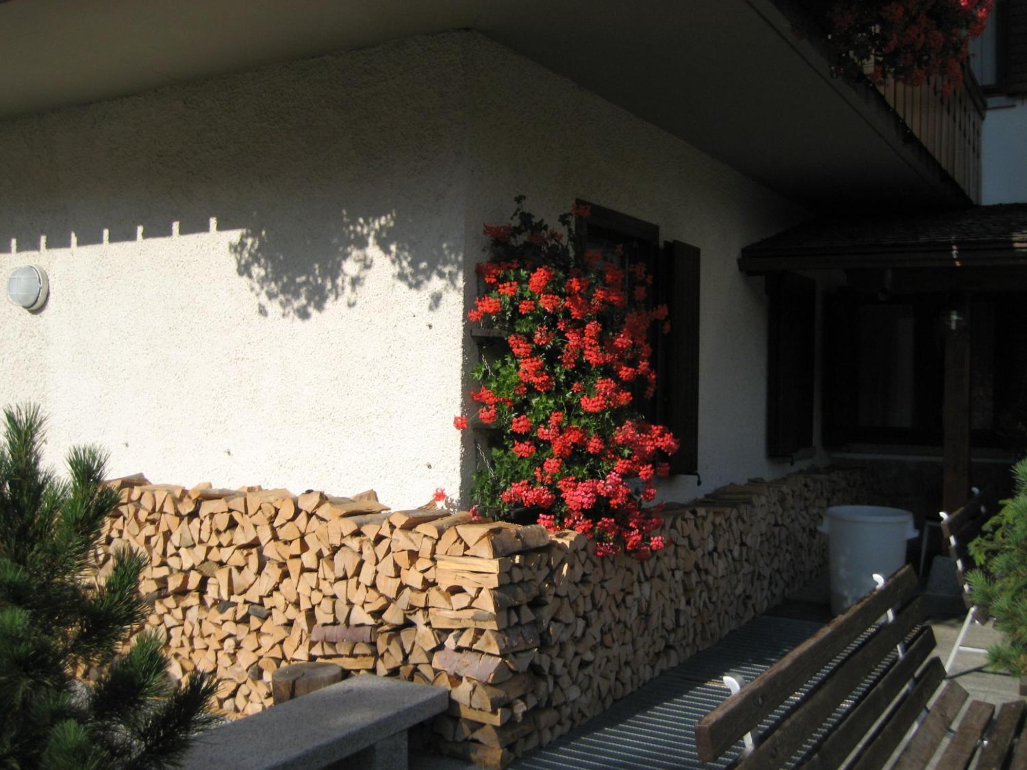 Hotel Garni Dello Sportivo Madonna di Campiglio Exterior photo